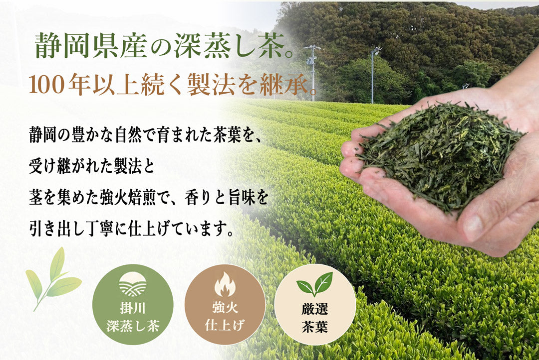 贅沢な深蒸し緑茶ティーバッグ 2.5g×100P
