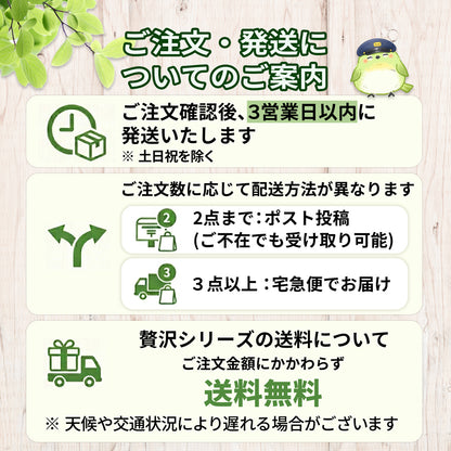 贅沢な深蒸し緑茶ティーバッグ 2.5g×100P